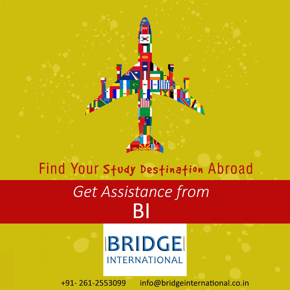 bridgeinternational.co.in